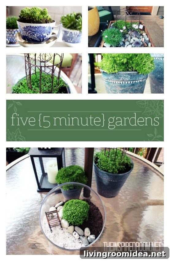 5-Minute Mini Gardens You Can Build in a Crate, Pot, or Terrarium 3 5 minute gardens