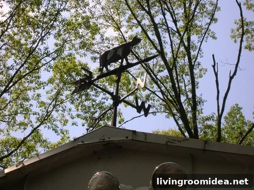 What We'll Miss Most About Our First Home 4 Cow weather vane