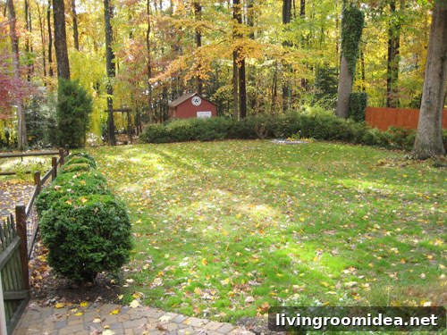 What We'll Miss Most About Our First Home 6 Fall leaves in neighborhood