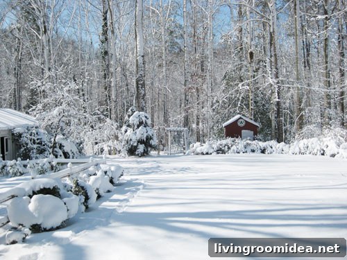 What We'll Miss Most About Our First Home 7 Snow-covered house