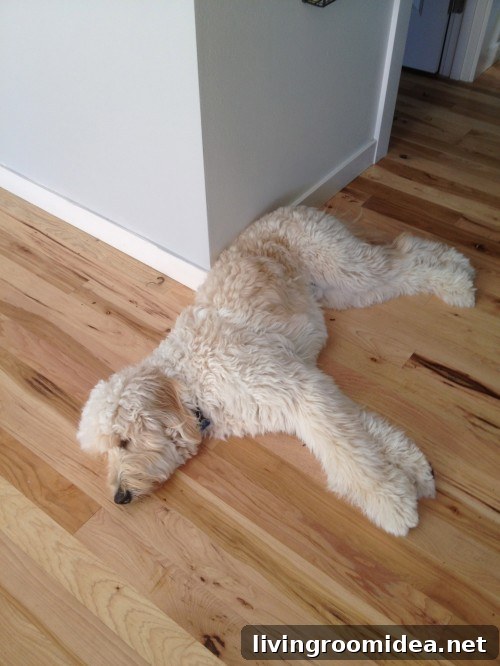jack on wood floors img 31542 2 1