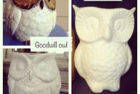 Owl Crisis: How to Help Injured or Orphaned Owls Near You