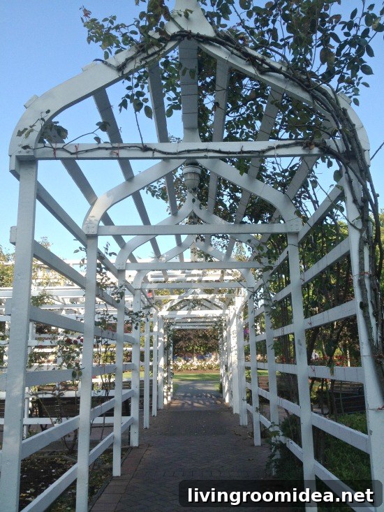 white arbors img 32364 8