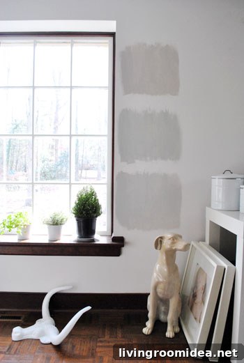 three Benjamin Moore gray paint options painted as test squares on a white wall with wood trim