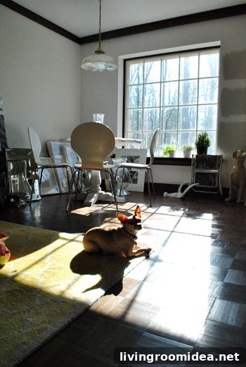 Burger on sun-warmed rug