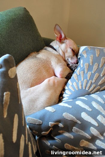 Burger on pillows