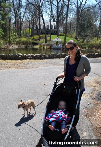 Walking with baby and dog