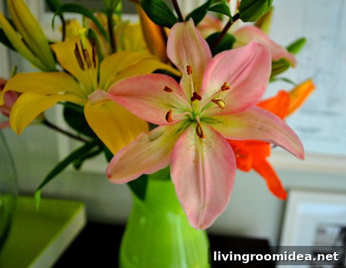 Close-up of lilies