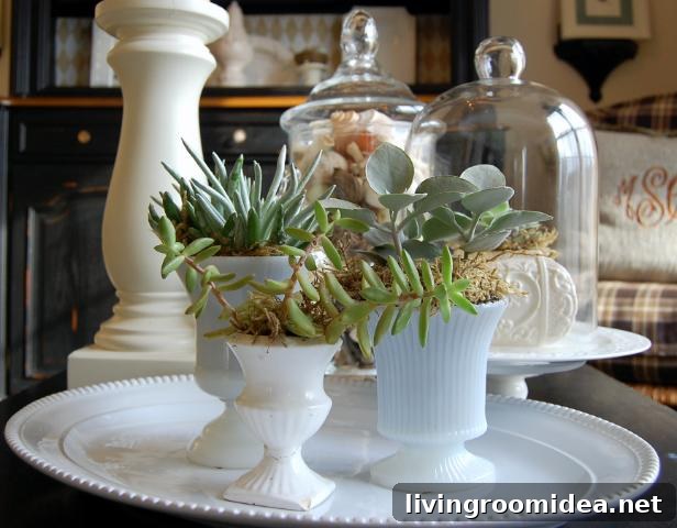 Inspiring Finds to Create a More Beautiful Life 3 img 3474 2