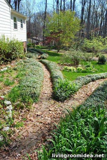 Pathway with planting beds