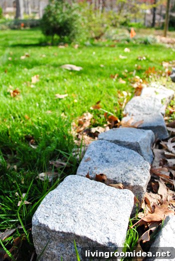 Stone borders and planting areas