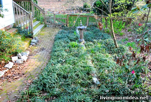 Fenced side yard behind carport