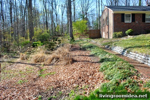 Wild area next to stone wall