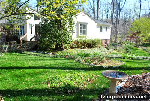 Backyard paths and planting beds