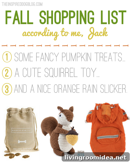Jack the goldendoodle's fall favorites Jack the goldendoodle