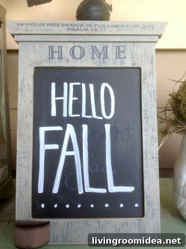 fall img 35459 11