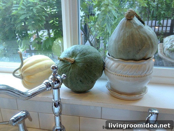 gourds on windowsill img 35459 7