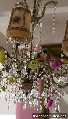 img 3633 1 1