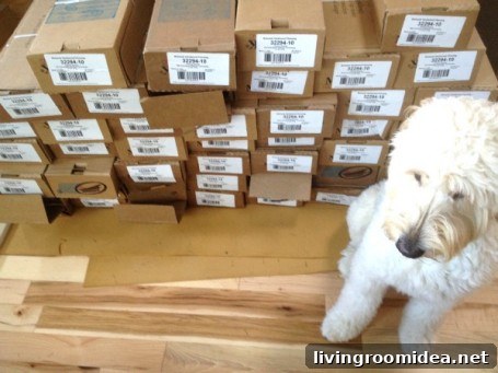 jack and the new wood floors jack and the new wood floors