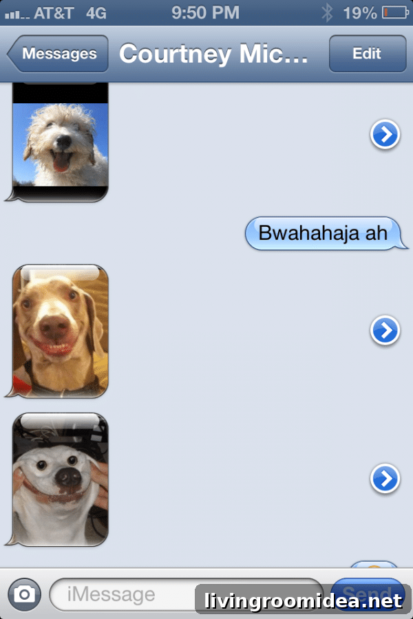 animal text img 36983 4
