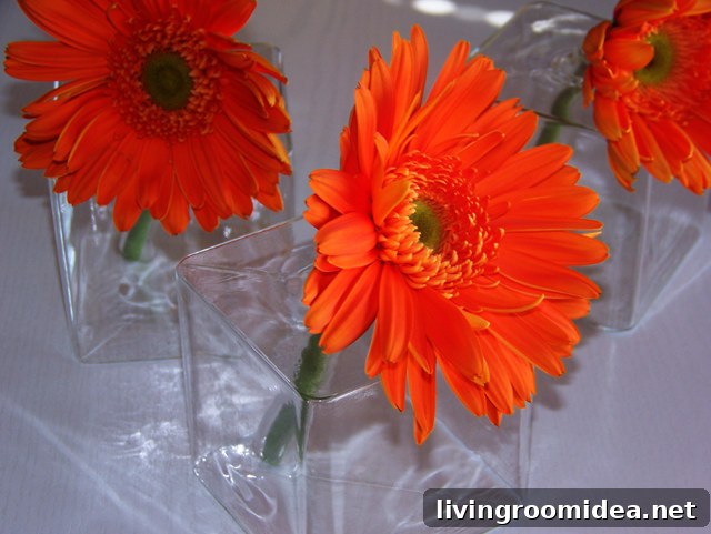 img 3930 4 1