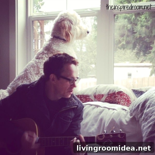 jack the goldendoodle and guitar