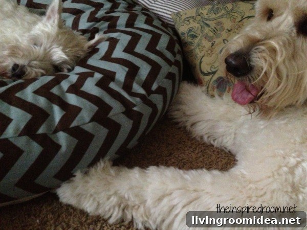 Winston: Guide to the Name’s Meaning, Origins, and Famous Namesakes 5 jack and winston