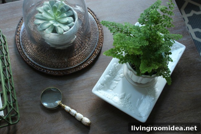coffee table with succulent and magnifying glass