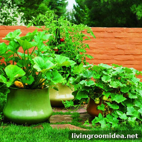 Compact Gardening Ideas for Small Spaces: Maximize Your Tiny Garden 2 img 4140 1