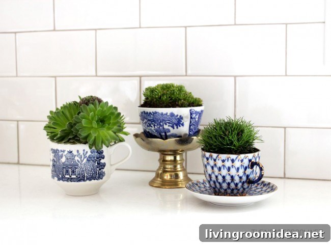 plants in teacups