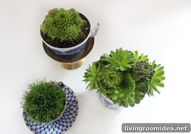 teacup gardens