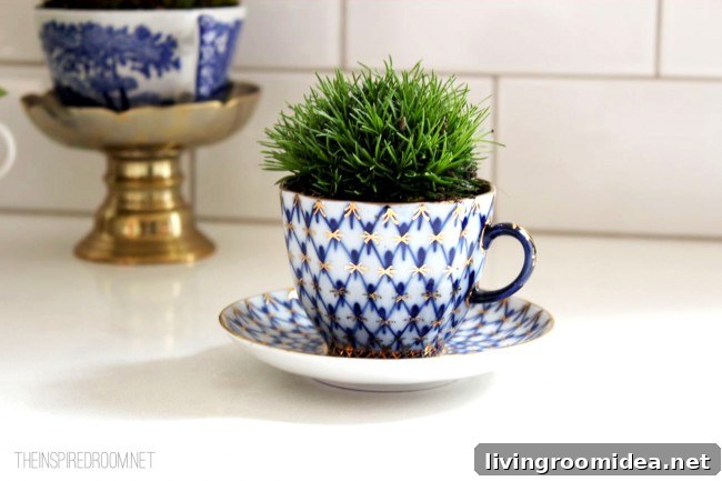 indoor gardens