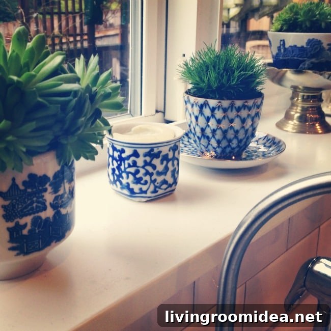 window sill garden