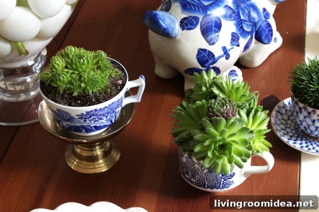 teacup-plants-e1362976012567
