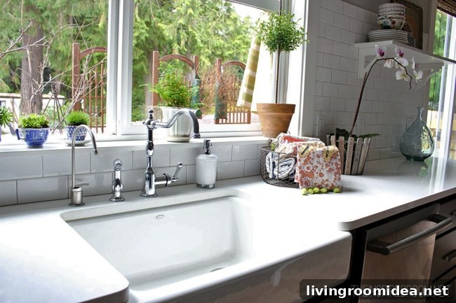 kitchen farmhouse sink