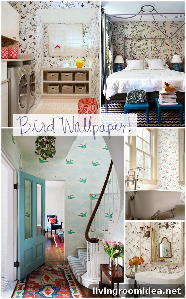 rooms with bird wallpaper