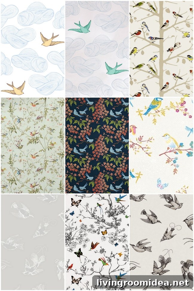 bird wallpaper sources and pictures