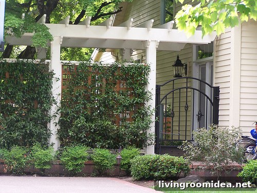 iron gate and wood pergola entry iron gate and wood pergola entry