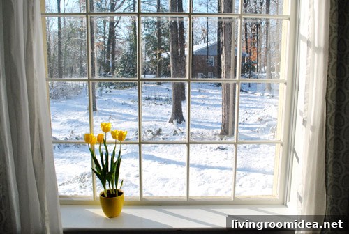 Guess Our Location — Can You Guess Where We Are? 2 Snowy view from living room window