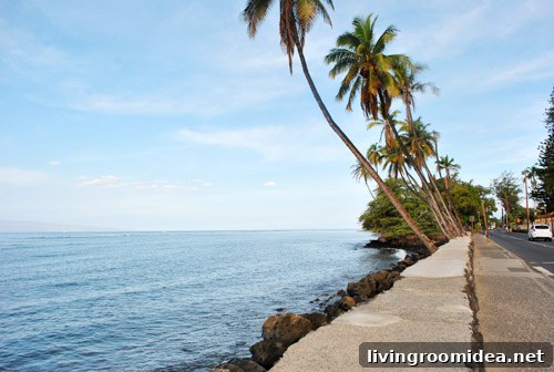 Guess Our Location — Can You Guess Where We Are? 4 Tropical view from living room window