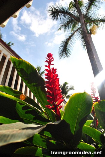 Guess Our Location — Can You Guess Where We Are? 6 Family on vacation in Maui