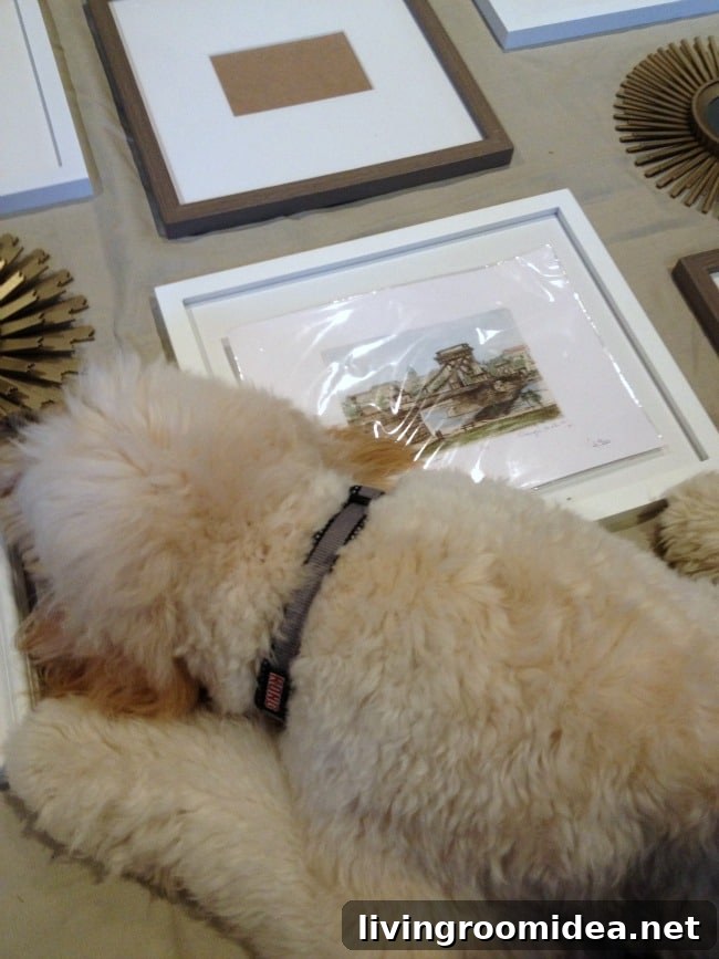 Ch-ch-ch-changes: How to Navigate Life’s Big Transitions 2 jack the goldendoodle