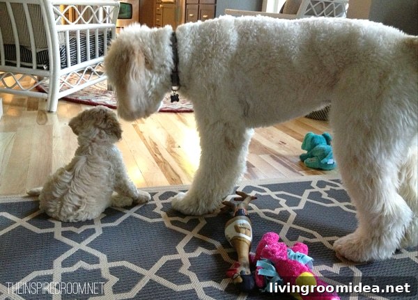 Meet Lily: A Heartwarming Story of Courage and Friendship 12 big and little