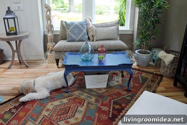 Meet Lily: A Heartwarming Story of Courage and Friendship 13 jack and lily