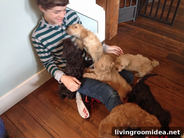 Meet Lily: A Heartwarming Story of Courage and Friendship 5 puppies
