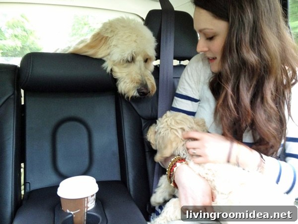 Meet Lily: A Heartwarming Story of Courage and Friendship 9 jack and lily