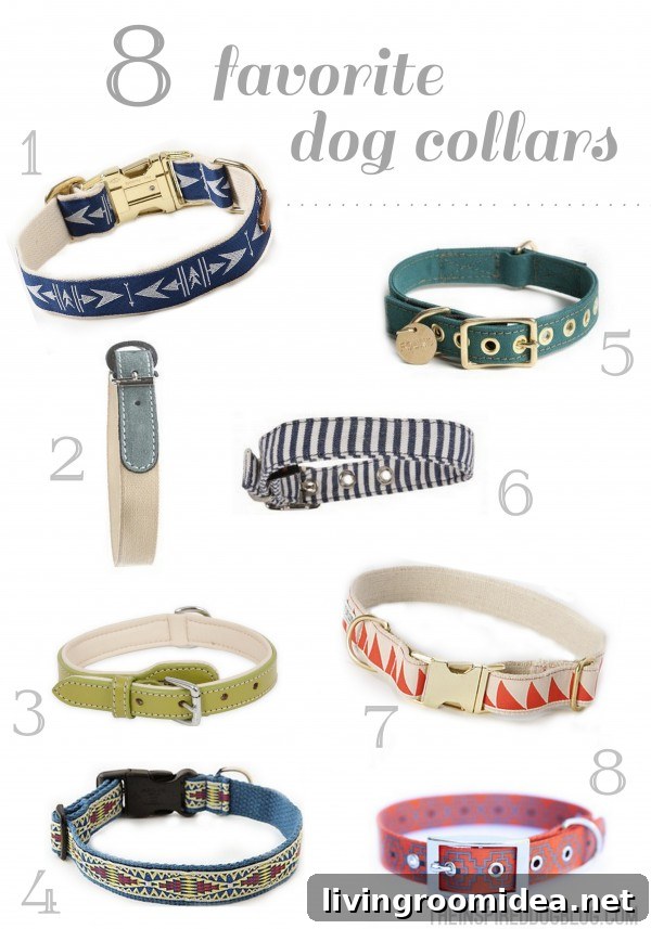 Out & About in July: Events, Tips, and Things to Do 7 Modern Dog Collars