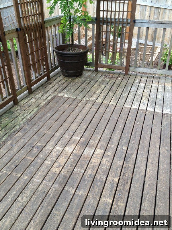 deck before