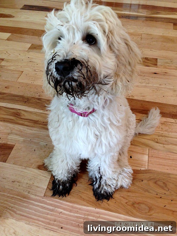 Teacart Plant Stand and Fresh Deck Finish Reveal 4 lily austraiian labradoodle muddy face