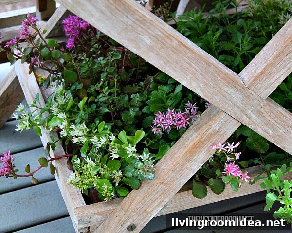 Teacart Plant Stand and Fresh Deck Finish Reveal 9 succulents